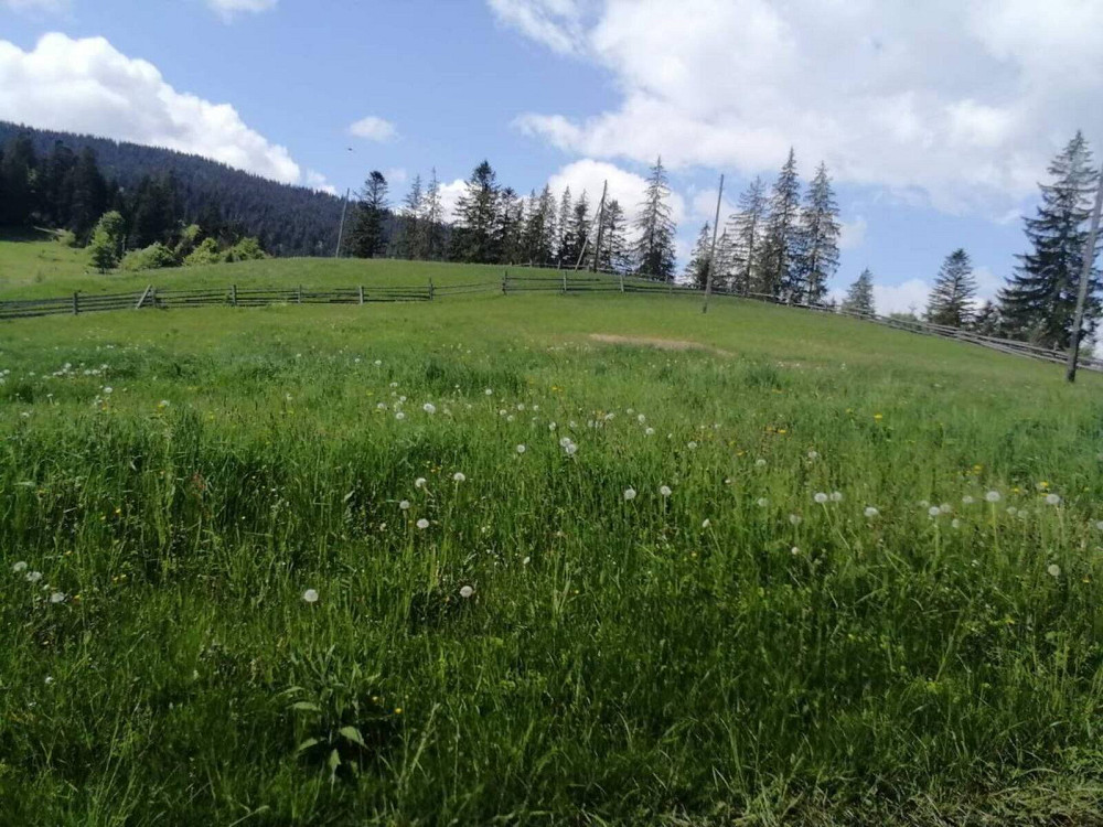 Продаж земельної ділянки 33 соток на Івана-Франка Ворохта - фото 9