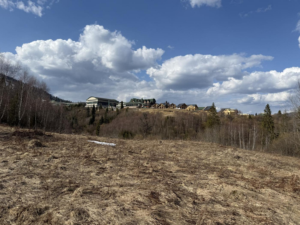 Продаж земельної ділянки 95 соток на вул. Шевченка  - photo 11