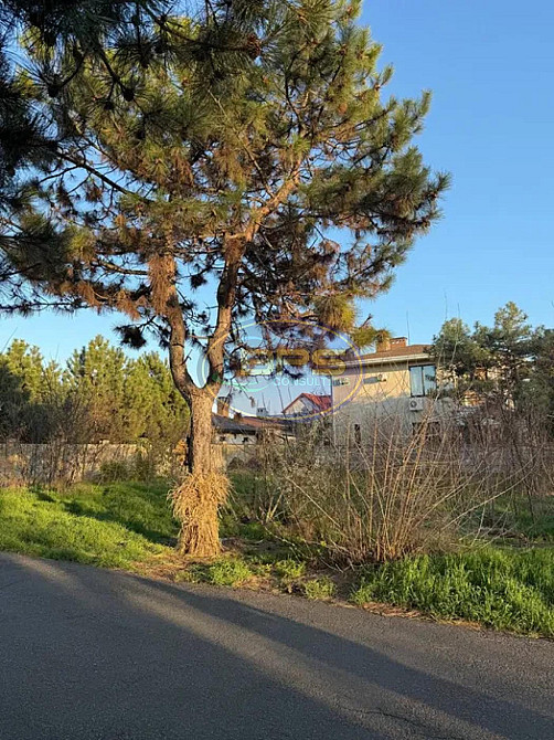 Продаж земельної ділянки 9 соток на вул. Горіхова Фонтанка - фото 10