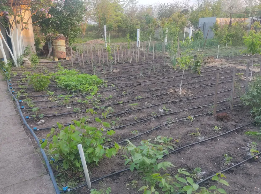 Дом в Алтестово, рядом лес и лиман. Алтестове - фото 6