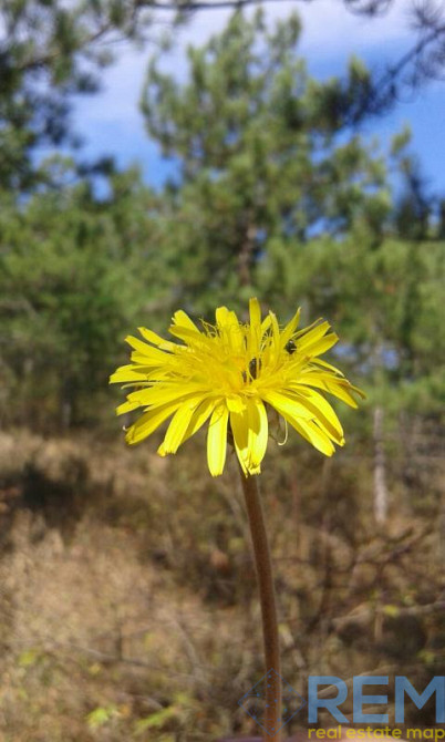 Продаж земельної ділянки 0.1 соток на ул. Строителей, 15 Нерубайське - фото 5