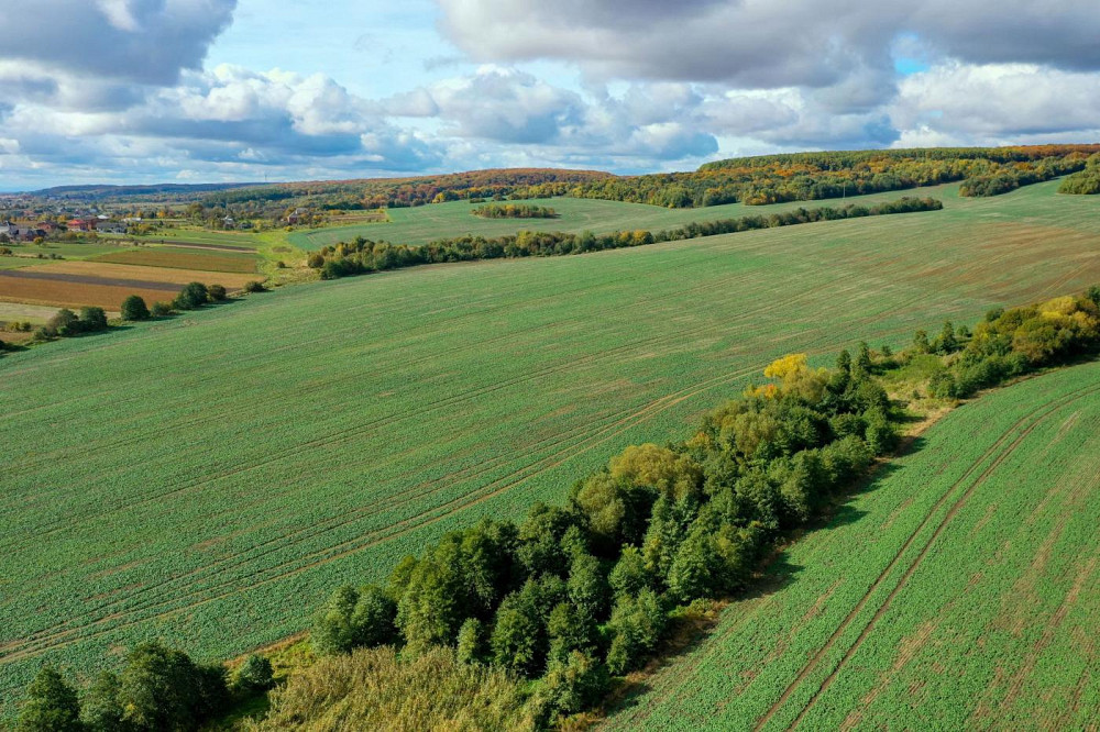 Продаж земельної ділянки 5.37 га Новий Розділ - фото 10