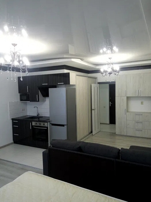 Оренда Квартира 1-кімнатна, 17/19 поверх на Рейгана, 40 Киев - изображение 4