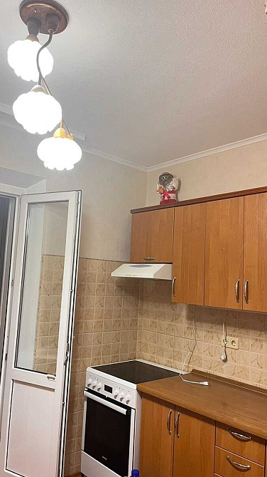 Оренда Квартира 1-кімнатна, 10/16 поверх на Гришко Михаила ул., 10 Kiev - photo 5