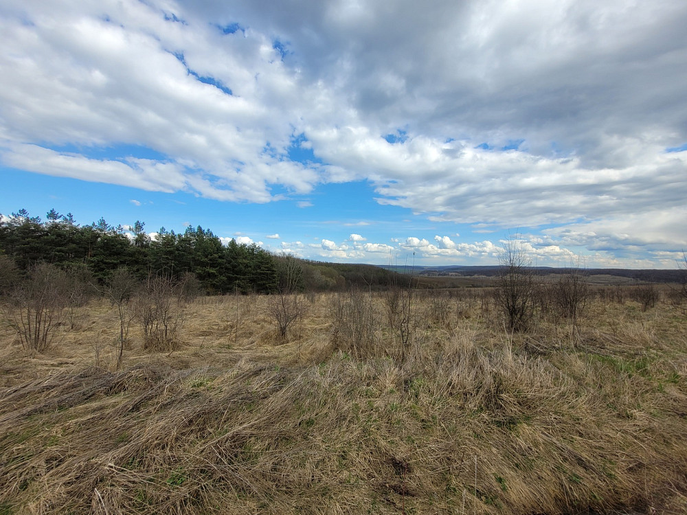 Продаж земельної ділянки 1.87 га Kolodiivka - photo 11