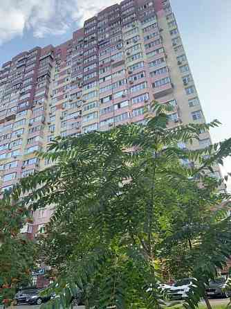 Оренда Квартира 2-кімнатна, 11/24 поверх на ул. Елизаветы Чавдар Kiev