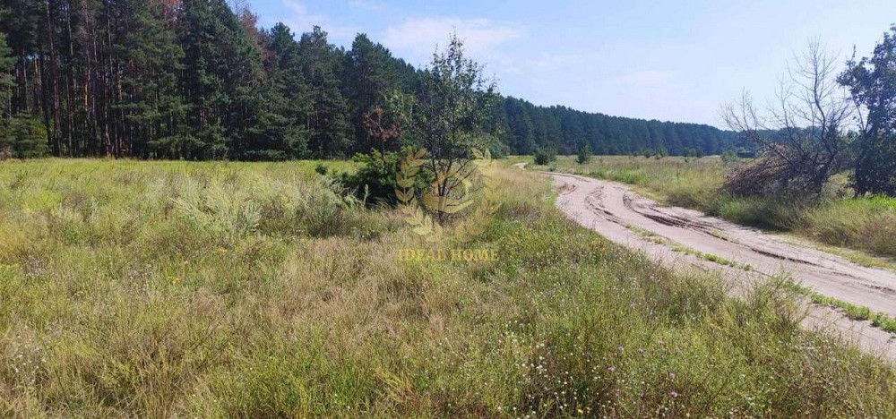 Продаж земельної ділянки 20 соток на Садовая ул., 52 Yasnohorodka (Vyshhorodskyi raion) - photo 1