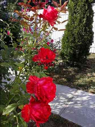 Дом под ключ 180 кв.м. с дизайнерским ремонтом. Музичі