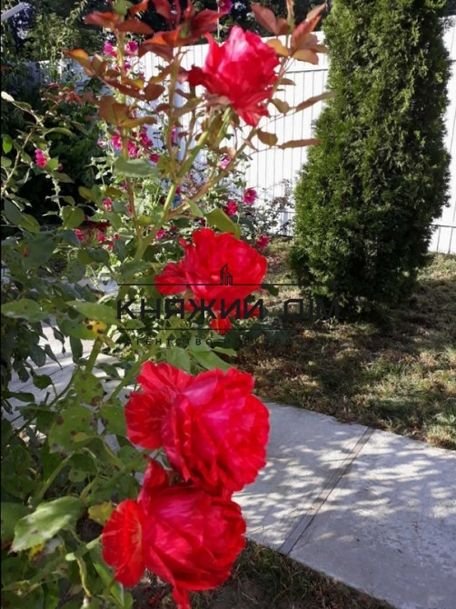 Дом под ключ 180 кв.м. с дизайнерским ремонтом. Музичі - фото 2