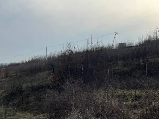 Продаж земельної ділянки Для сільськогосподарської діяльності площа 60 сот урочище «Тераса» Середнє