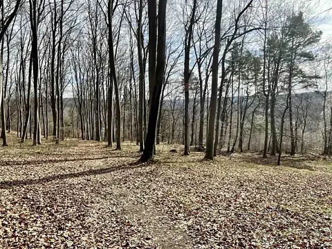 For sale land plot  area 53 ares   - photo 3