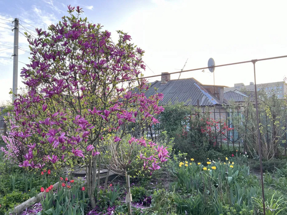 Продається будинок з ексклюзивною земельною ділянкою в центрі міста. Кропивницький - фото 19