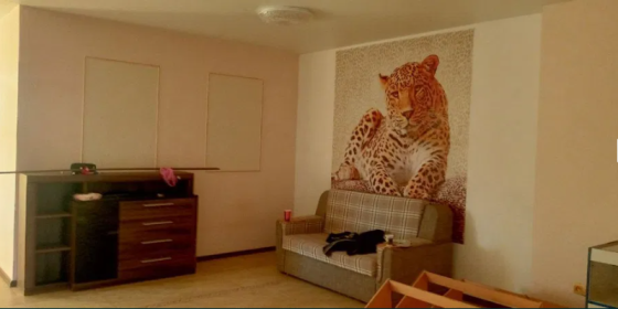 Продам дом + минимаркет в Корсунцах (ул.Заболотного) Корсунці