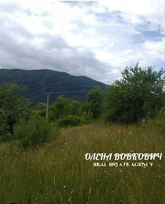 Продаж земельної ділянки 46 соток Міжгір'я - фото 2