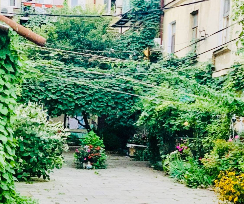 Шикарная квартира-дом у парка Шевченко Одеса - фото 13