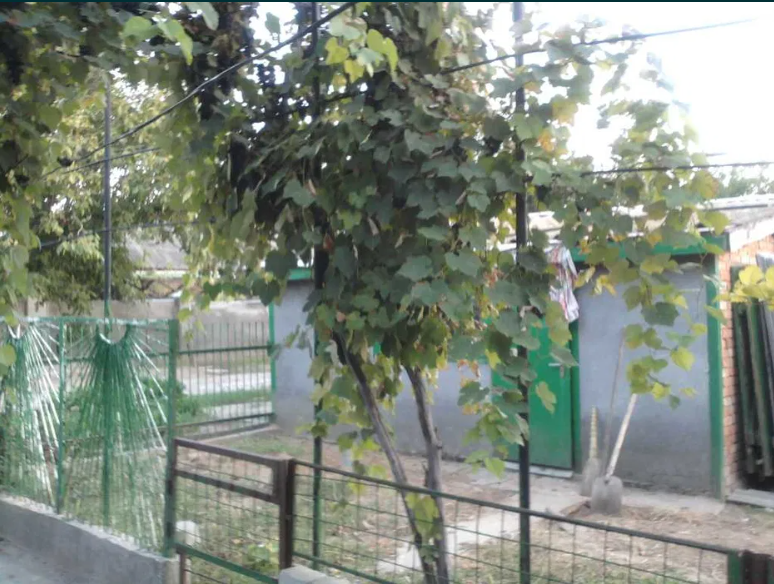 Продам два дома  в районе Большевик Одеса - фото 12