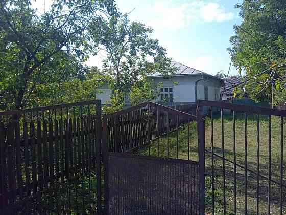 Продаж Будинок на Грушевського Жураки