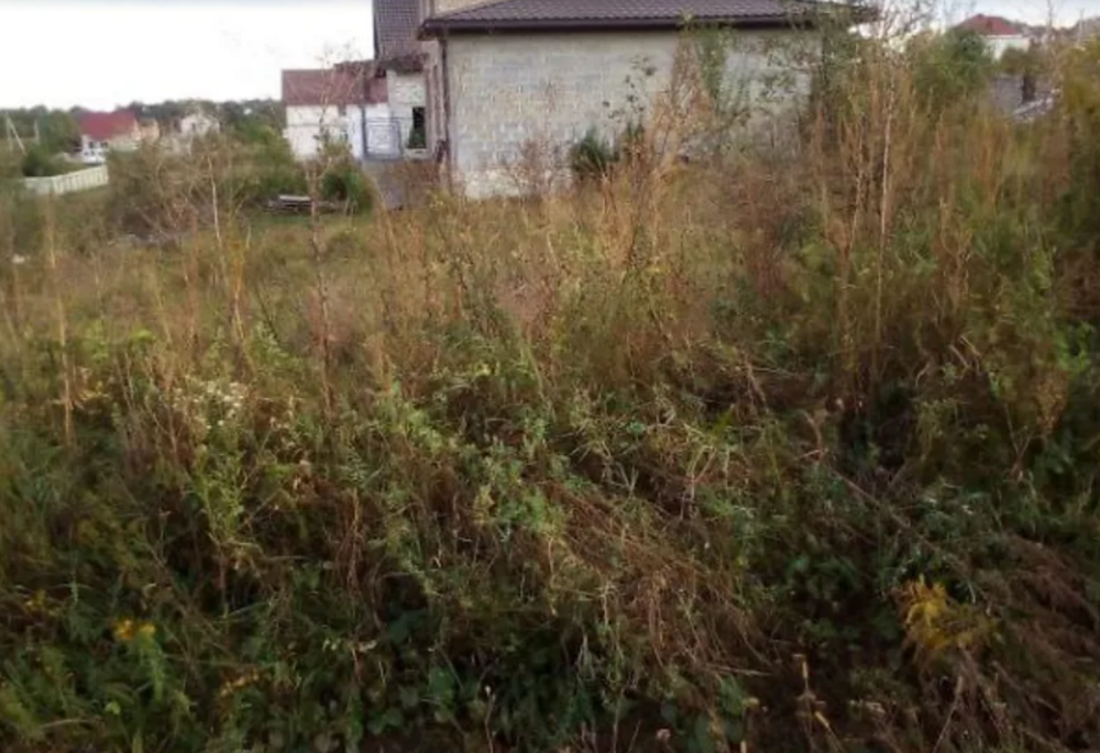 Продаж земельної ділянки 7 соток Baikivtsi - photo 5