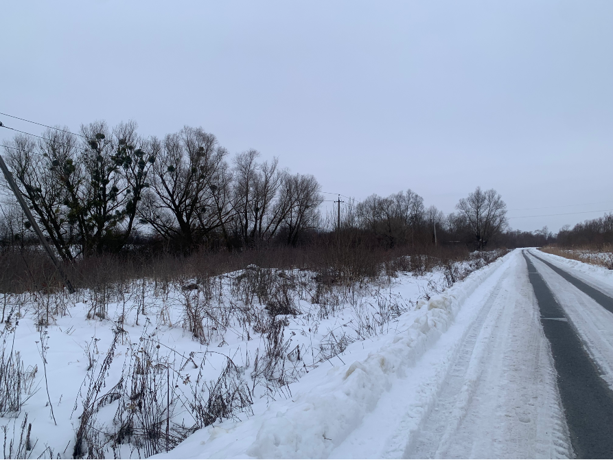 Продажа земельного участка Для сельскохозяйственной деятельности площадь 19 сот GWWH+WP, Миколаївський район, Львівська область, 81630 Дроговиж - изображение 3
