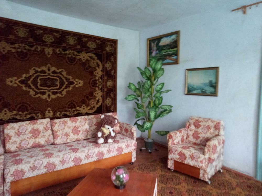 Продам дом за городом Мала Петрівка - фото 10