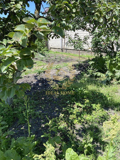 Продам дачный дом Київ, Садова 129-а вул. Kiev - photo 4