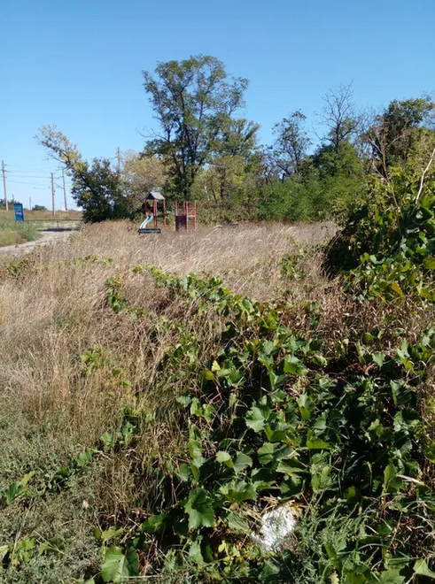 Продаж земельної ділянки 8 соток на Пилипа Хмари вул. (Піонерська) Кропивницький - фото 3