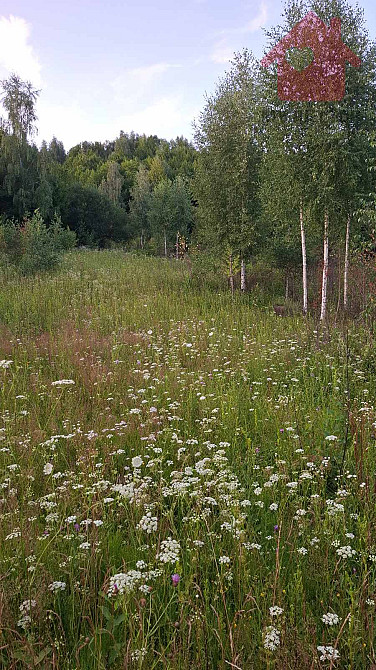 Продаж земельної ділянки 25 соток Uzhhorod - photo 9