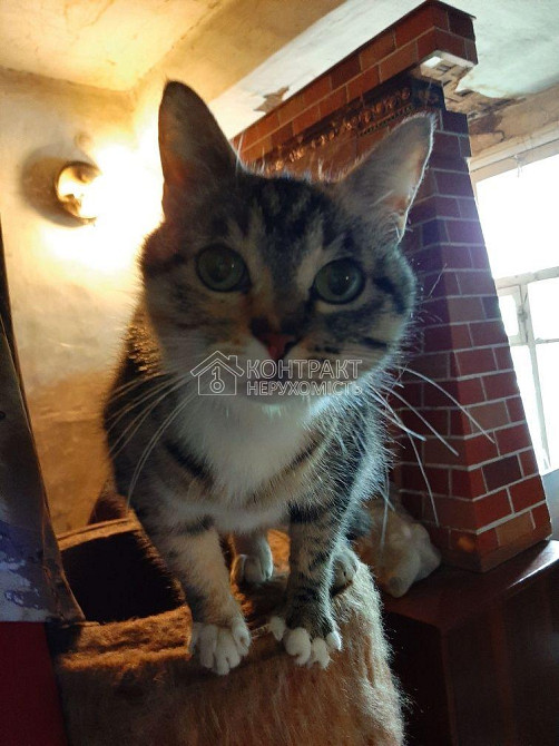 Продаж Будинок 4-кімнатний на вул. Соколовська Kharkiv - photo 4