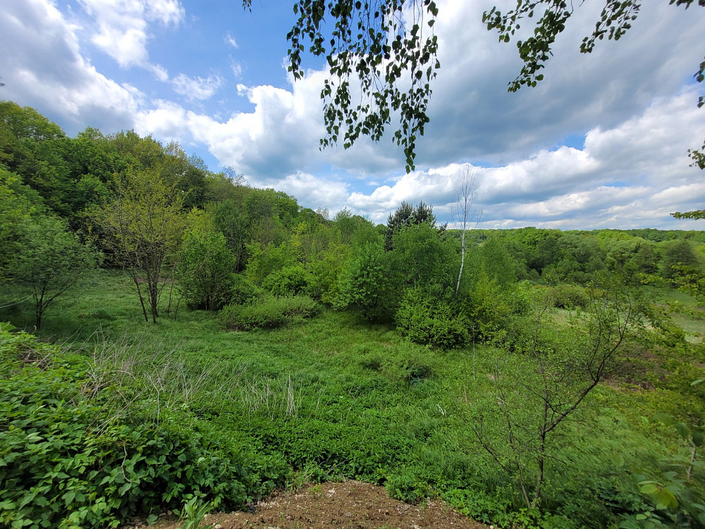 Продаж земельної ділянки 1.25 га на Франка Pavlivka - photo 13