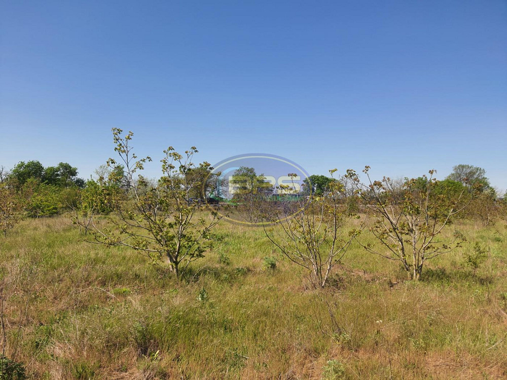 Продаж земельної ділянки 3.39 га Нерубайське - фото 11