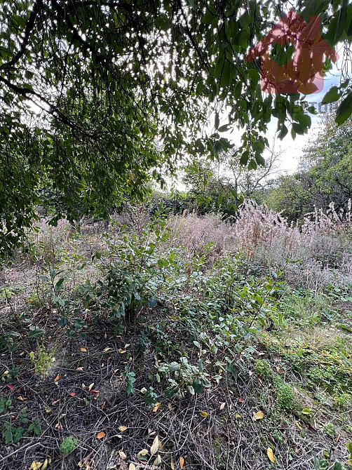 Продаж земельної ділянки 5.63 соток Uzhhorod - photo 8