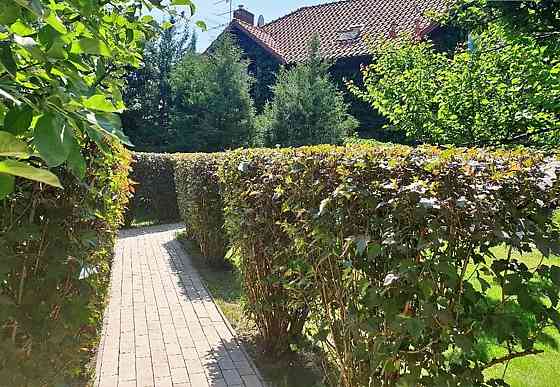 Оренда Квартира 1-кімнатна на ул. Стеценко, 12 Київ