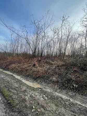 Продаж земельної ділянки 8.2 соток 