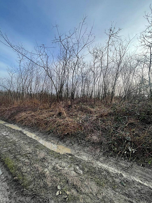 Продаж земельної ділянки 8.2 соток  - фото 4