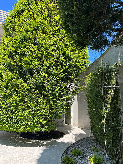 Продаж Будинок на Ахматовой ул. Одесса - изображение 9