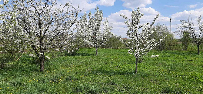 Продаж будинку 2 поверхи — Польова Ременів - фото 15