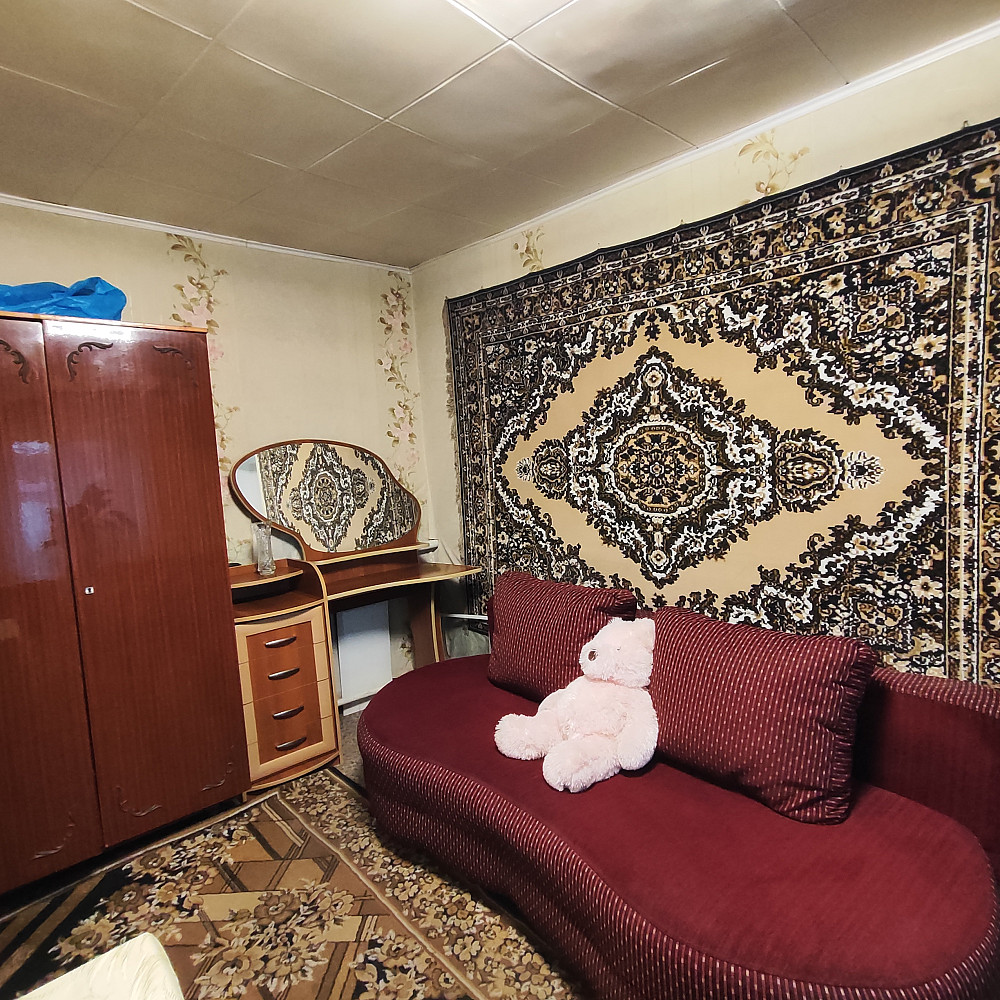 Дом с большим участком в с.Усатово. Usatove - photo 5