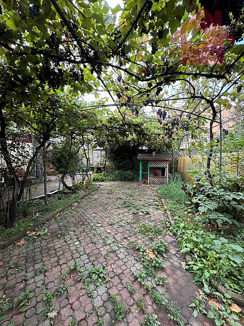 Просторий цегляний будинок можна і під комерцію! Дом - кафе! Uzhhorod - photo 9