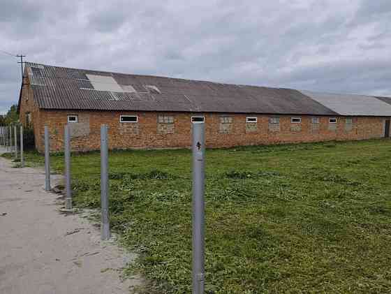 Продаж приміщення вільного призначення на Молодіжна вул., 1а поверх - 1/1 Плоске (Козивський район)