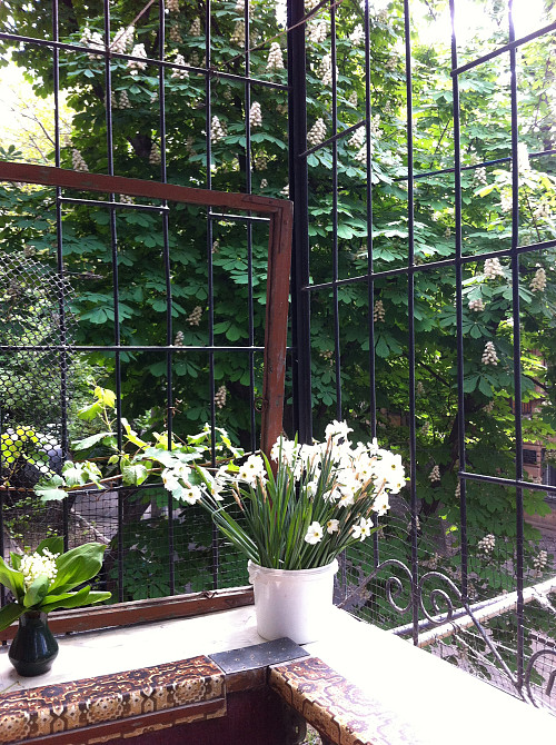 Центр - 130 кв.м. Квартира . Супер предложение ! Одесса - изображение 7