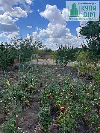 Продамо дачу Нова Павлівка Кропивницький. Кропивницький