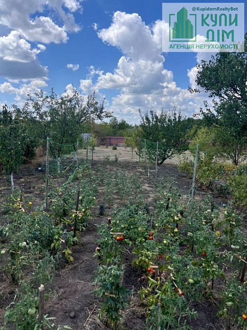 Продамо дачу Нова Павлівка Кропивницький. Кропивницький - фото 4
