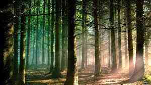 Продаж 3к Квартира 98 кв.м Широка, 22 Брюховичи (Перемишлянський район)