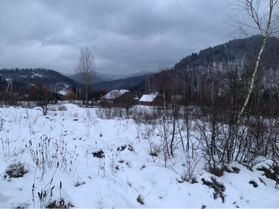 Продаж земельної ділянки Для будівництва приватного житлового будинку площа 0.49 сот Вул Зелена Тухля