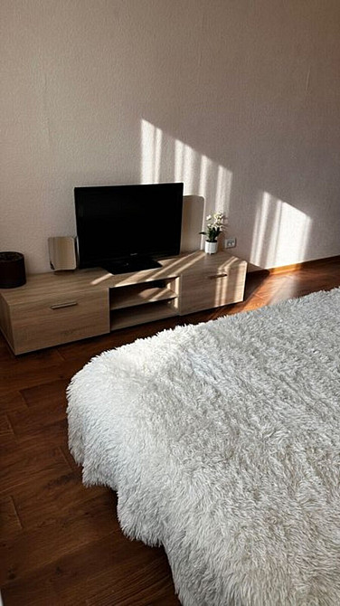 Оренда Квартира 1-кімнатна, 19/25 поверх на Хвильового, 3 Киев - изображение 4