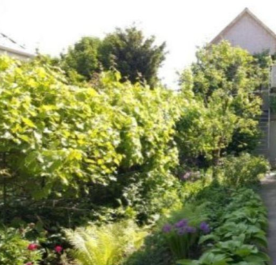 Продаж земельної ділянки 0 соток на ул. Костанди, 6г Одеса