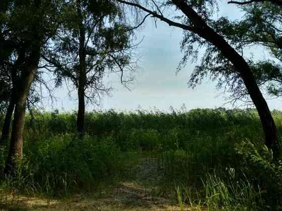 Продаж земельної ділянки на вул. Набережна, Черкаси