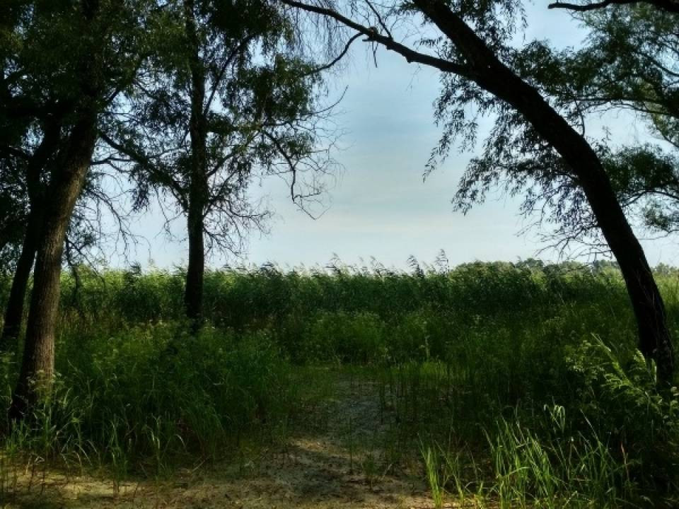 Продаж земельної ділянки на вул. Набережна, Черкаси - фото 4