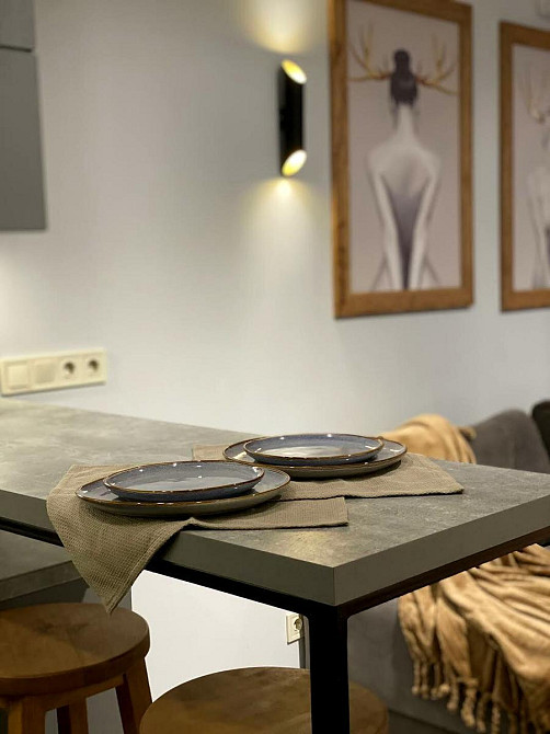 Оренда Квартира 1-кімнатна, 3/25 поверх на Михайла Максимовича, 24 Київ - фото 2