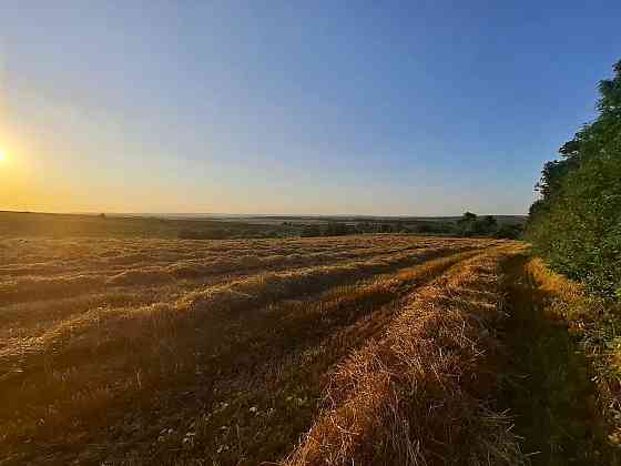 Продаж земельної ділянки 1 га Sadky